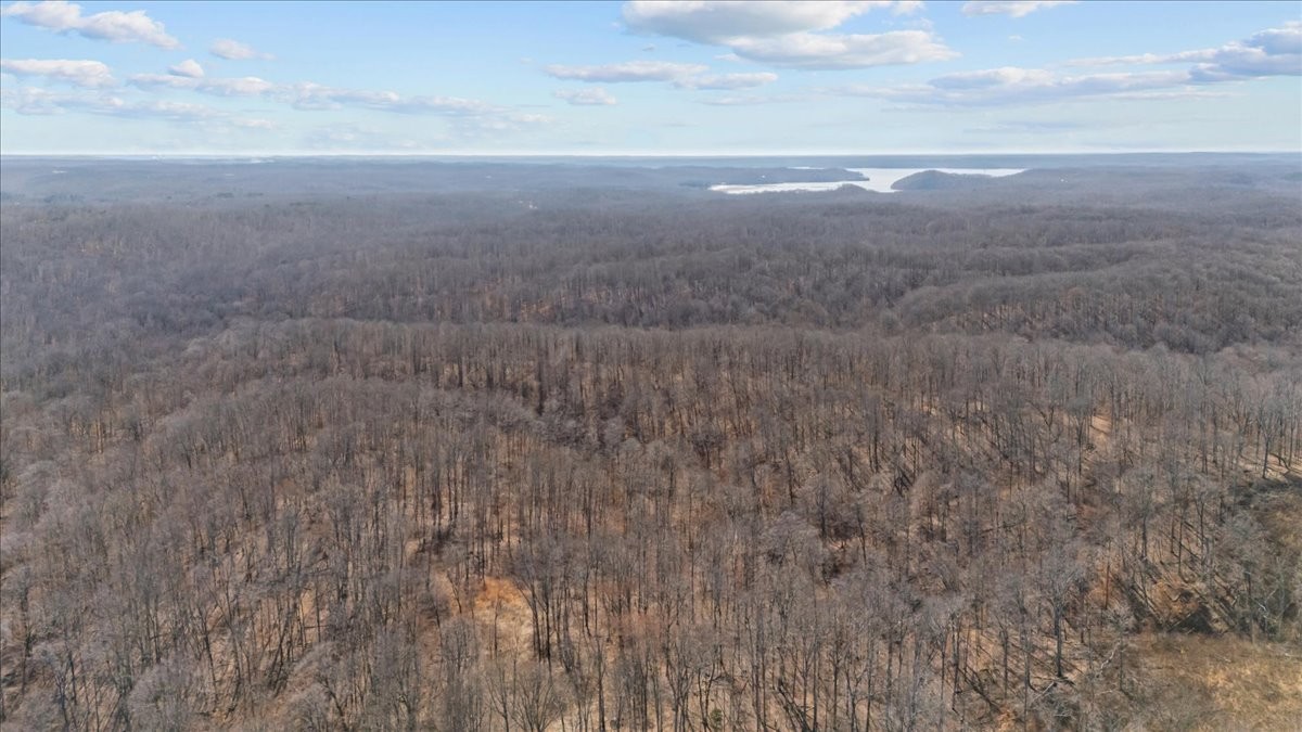 0 West Of Magnolia Road Stewart, TN 37175 - Photo 11 of 25 a view of beach and covered with fog