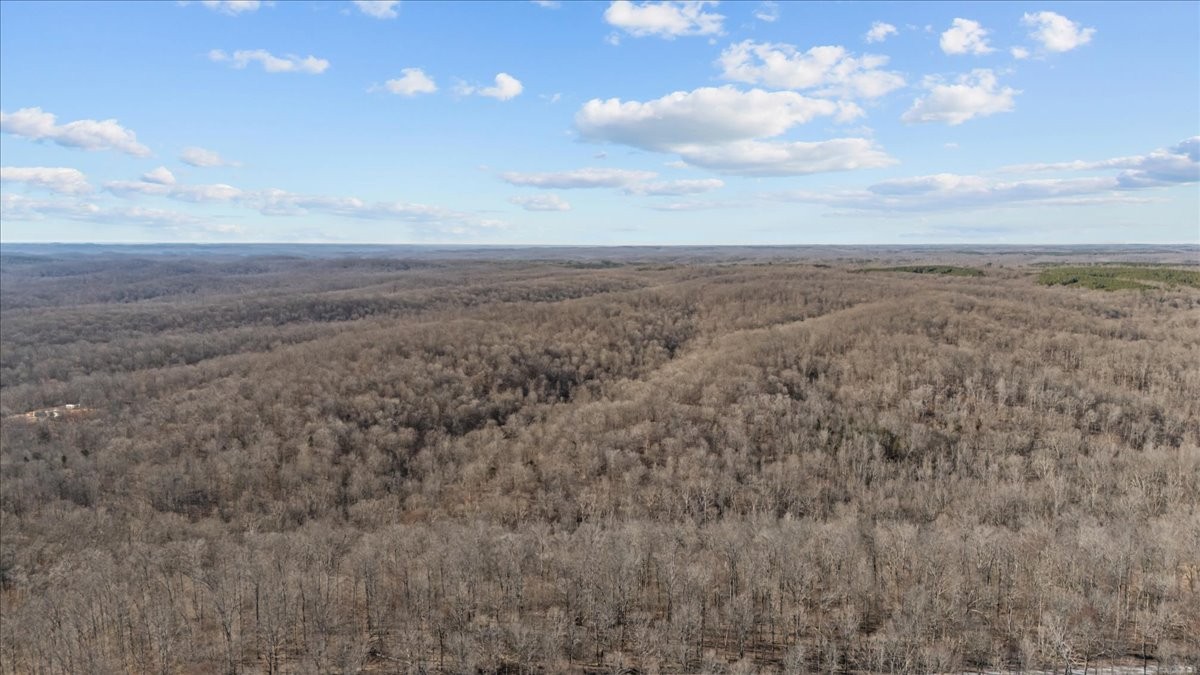 0 West Of Magnolia Road Stewart, TN 37175 - Photo 12 of 25