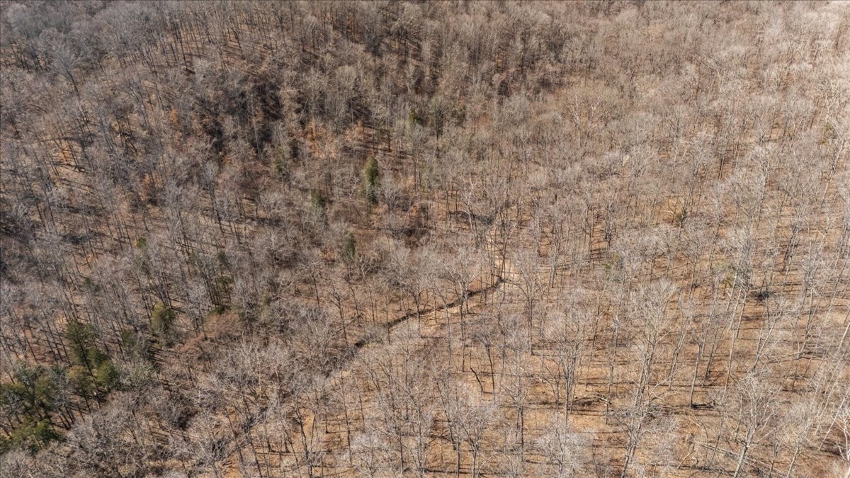 0 West Of Magnolia Road Stewart, TN 37175 - Photo 14 of 25 a close up of a white marble wall
