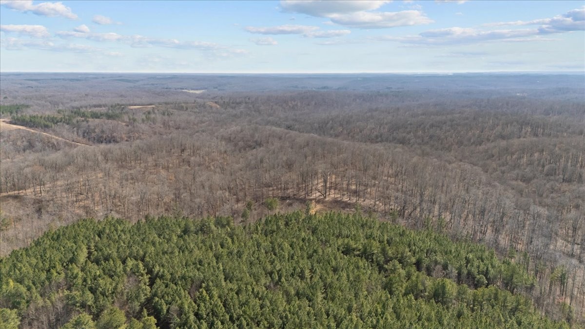 0 West Of Magnolia Road Stewart, TN 37175 - Photo 15 of 25 a view of city and green space
