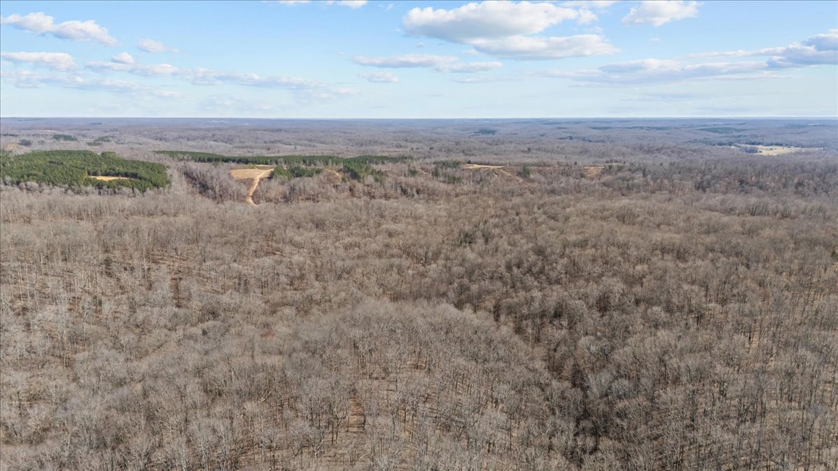 0 West Of Magnolia Road Stewart, TN 37175 - Photo 20 of 25 a view of city and mountain