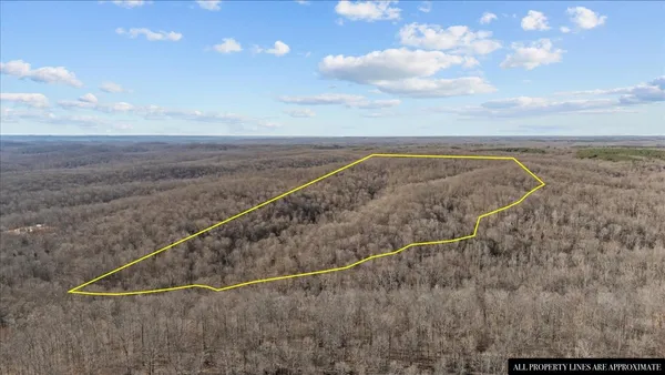 a view of a dry yard with wooden fence