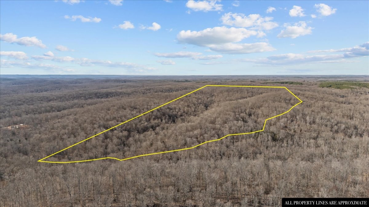 0 West Of Magnolia Road Stewart, TN 37175 - Photo 2 of 25 a view of a dry yard with wooden fence