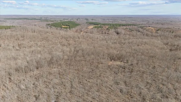 a close up view of a dry yard
