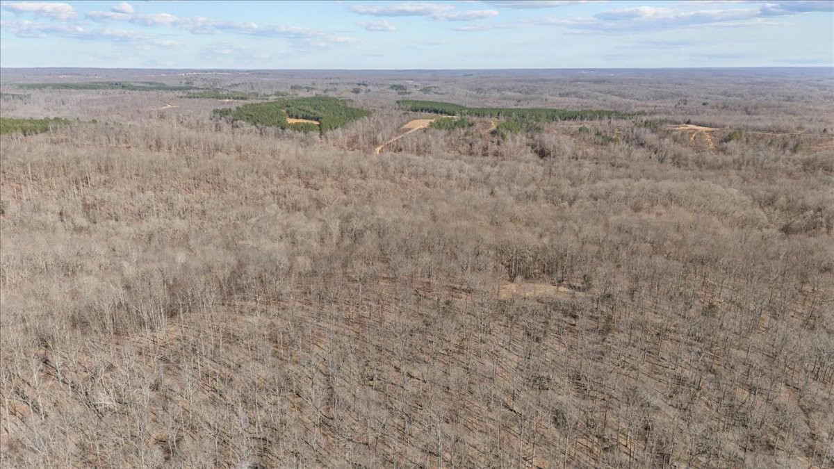 0 West Of Magnolia Road Stewart, TN 37175 - Photo 21 of 25 a view of beach and space