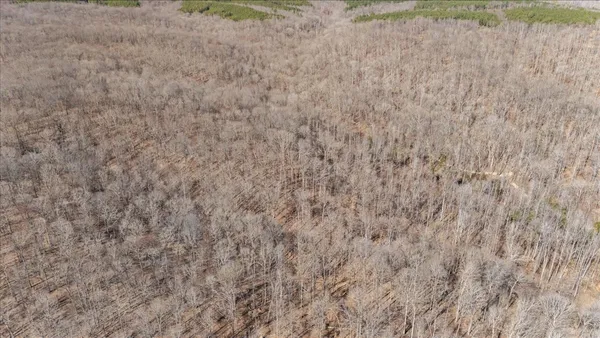 a view of a field with trees in background