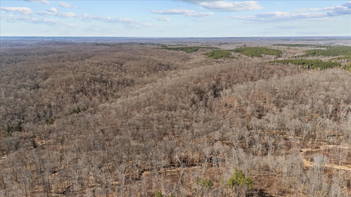 0 West Of Magnolia Road Stewart, TN 37175 - Photo 23 of 25 a view of a field with trees in background