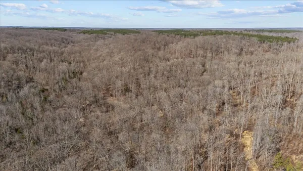 a view of an ocean beach