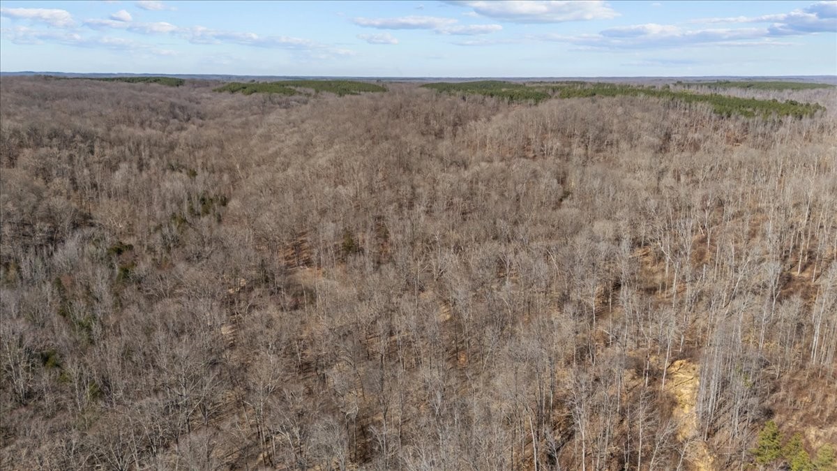 0 West Of Magnolia Road Stewart, TN 37175 - Photo 24 of 25 a close up of a field