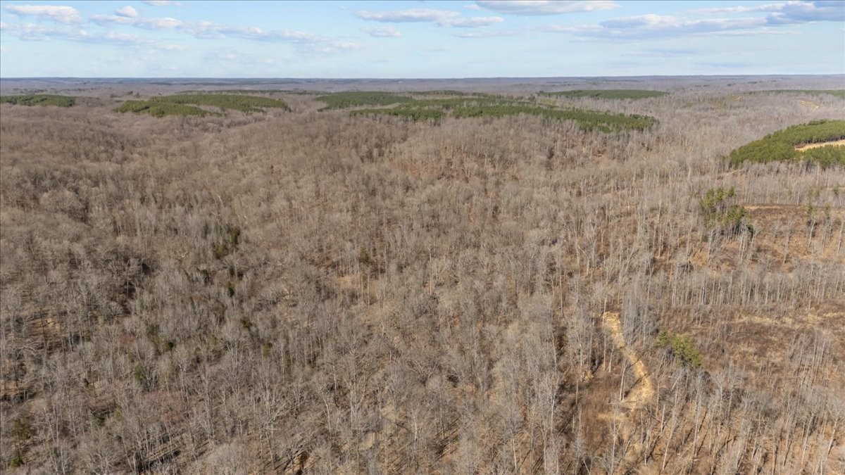 0 West Of Magnolia Road Stewart, TN 37175 - Photo 25 of 25 a view of an ocean beach