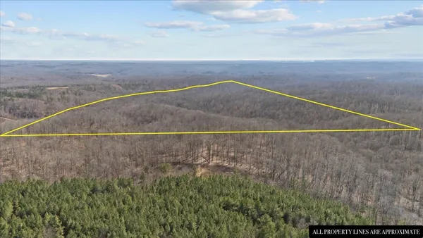 a view of a dry yard