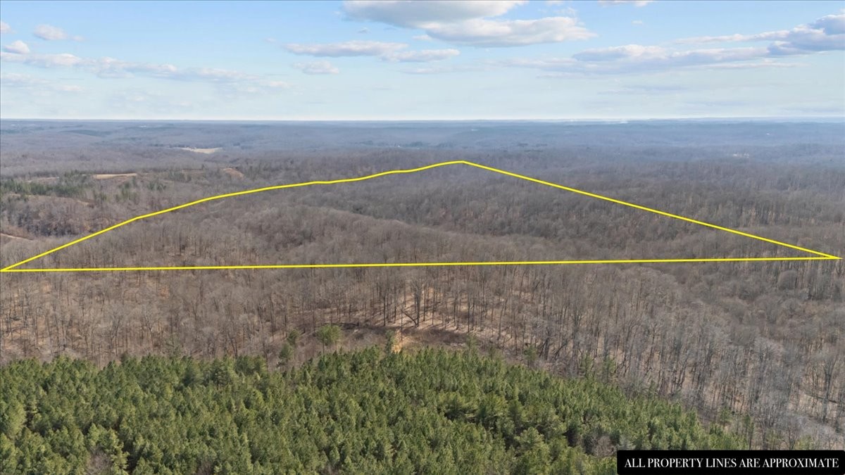 0 West Of Magnolia Road Stewart, TN 37175 - Photo 3 of 25 a view of a dry yard