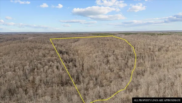 a view of an ocean beach