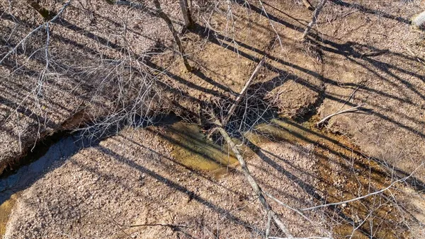 a view of trees and snow on the street