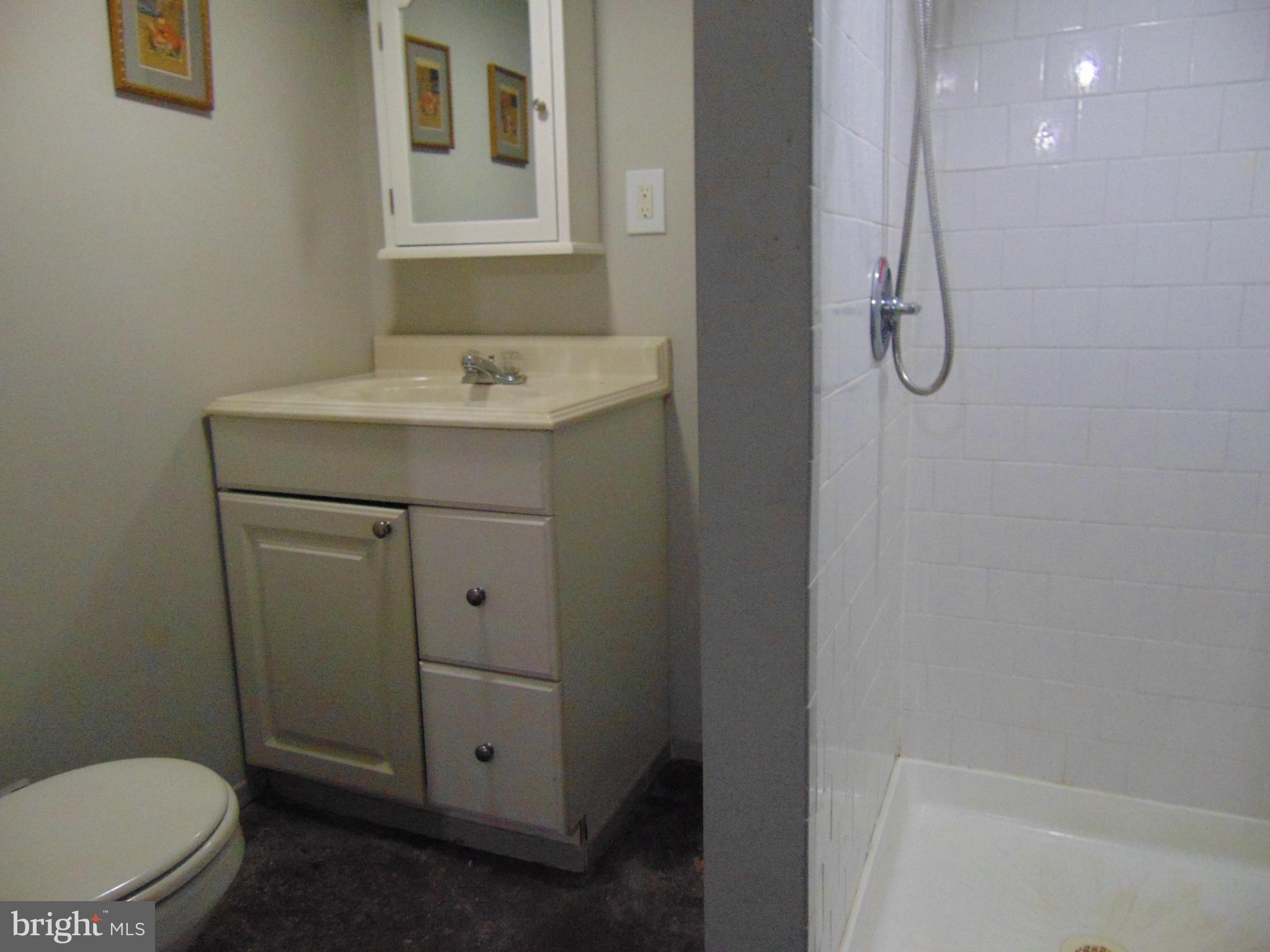 715 Dorchester Road Baltimore, MD 21229 - Photo 36 of 44 Basement Full Bath