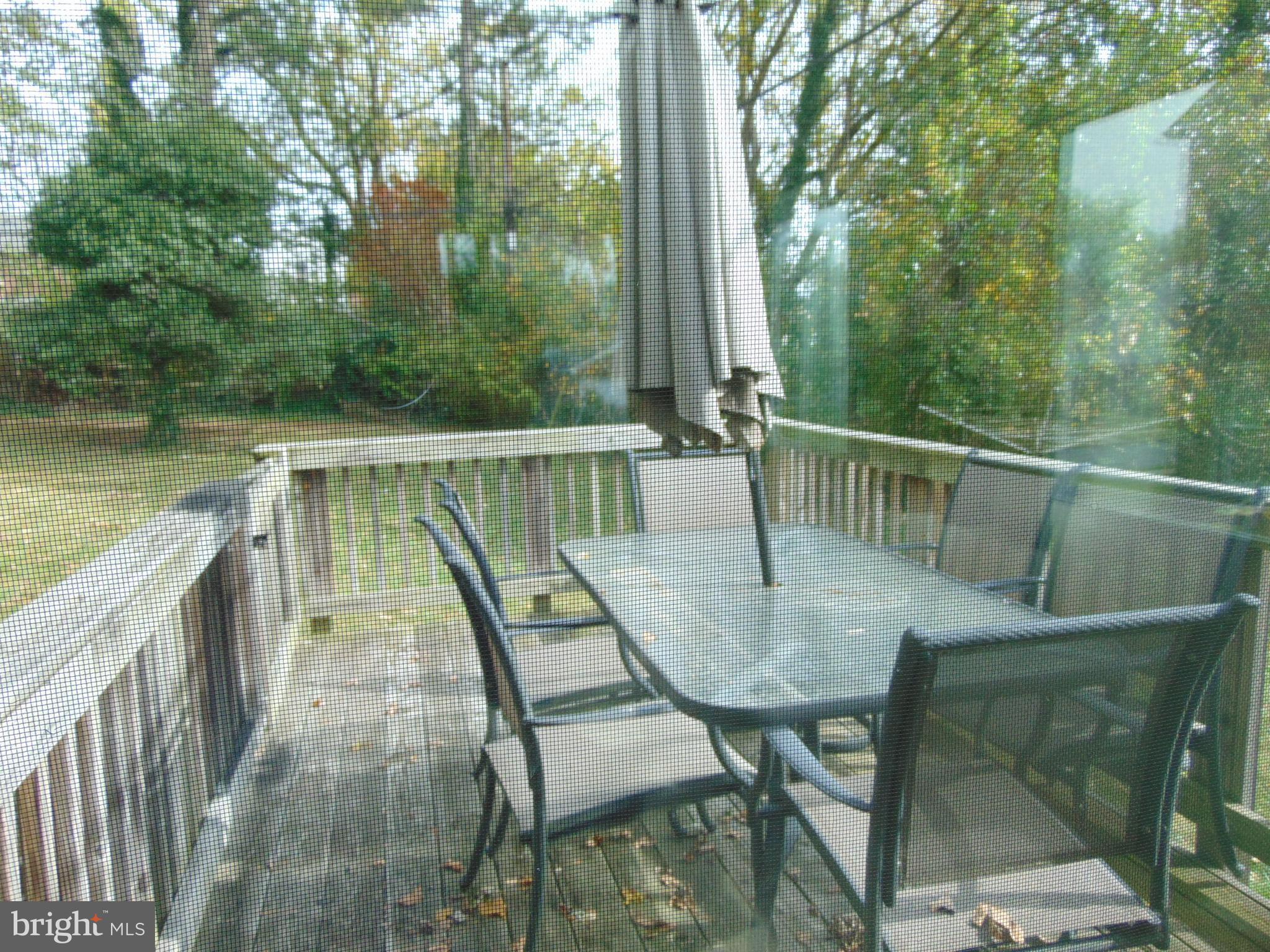 715 Dorchester Road Baltimore, MD 21229 - Photo 5 of 44 Deck off Enclosed Porch