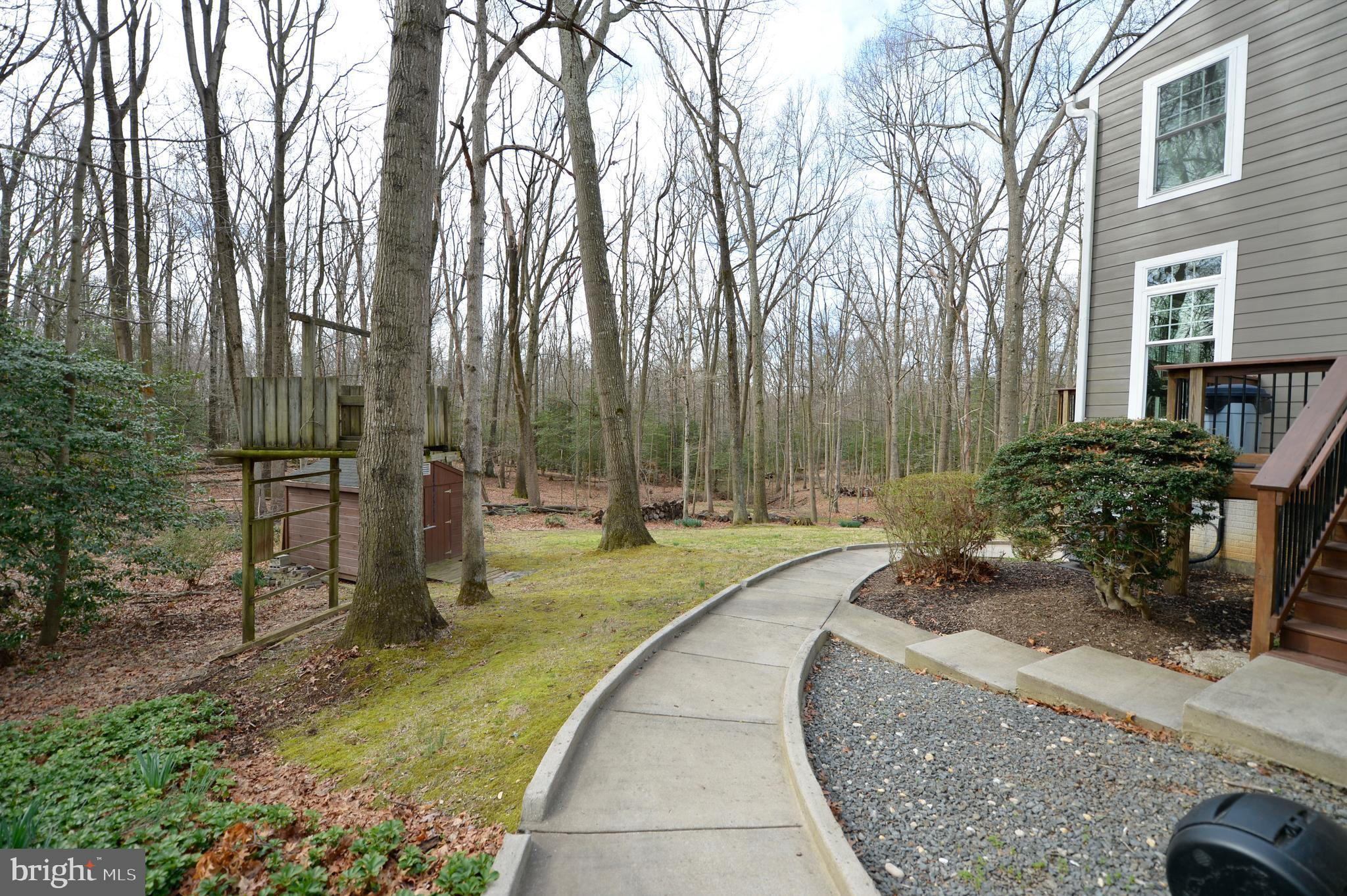 11403 Running Cedar Road Reston, VA 20191 - Photo 12 of 58 Side yard with views of the deer in the woods.