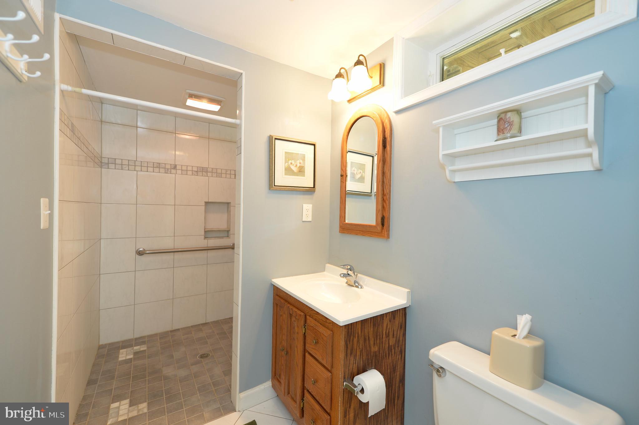 11403 Running Cedar Road Reston, VA 20191 - Photo 41 of 58 Lower level wheelchair accessible full bath.