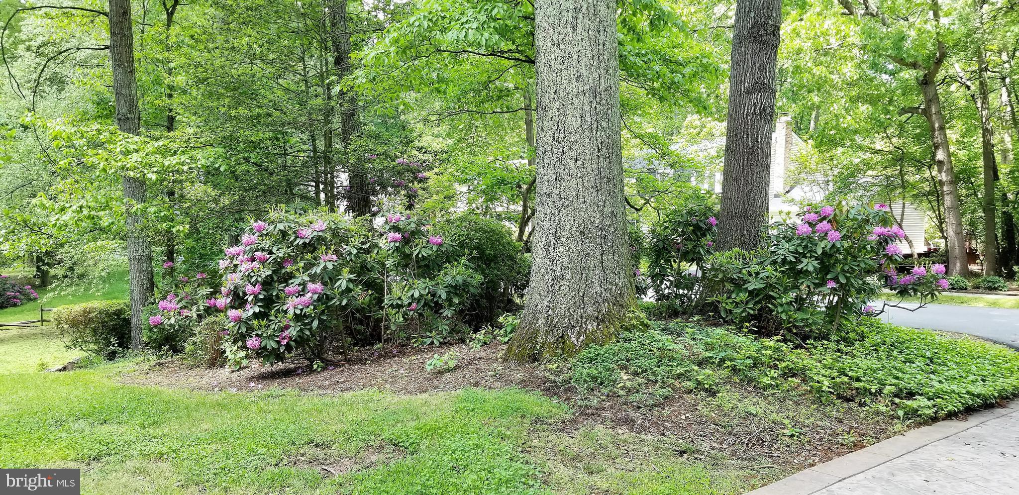11403 Running Cedar Road Reston, VA 20191 - Photo 56 of 58 Landscape provide such a welcome home.