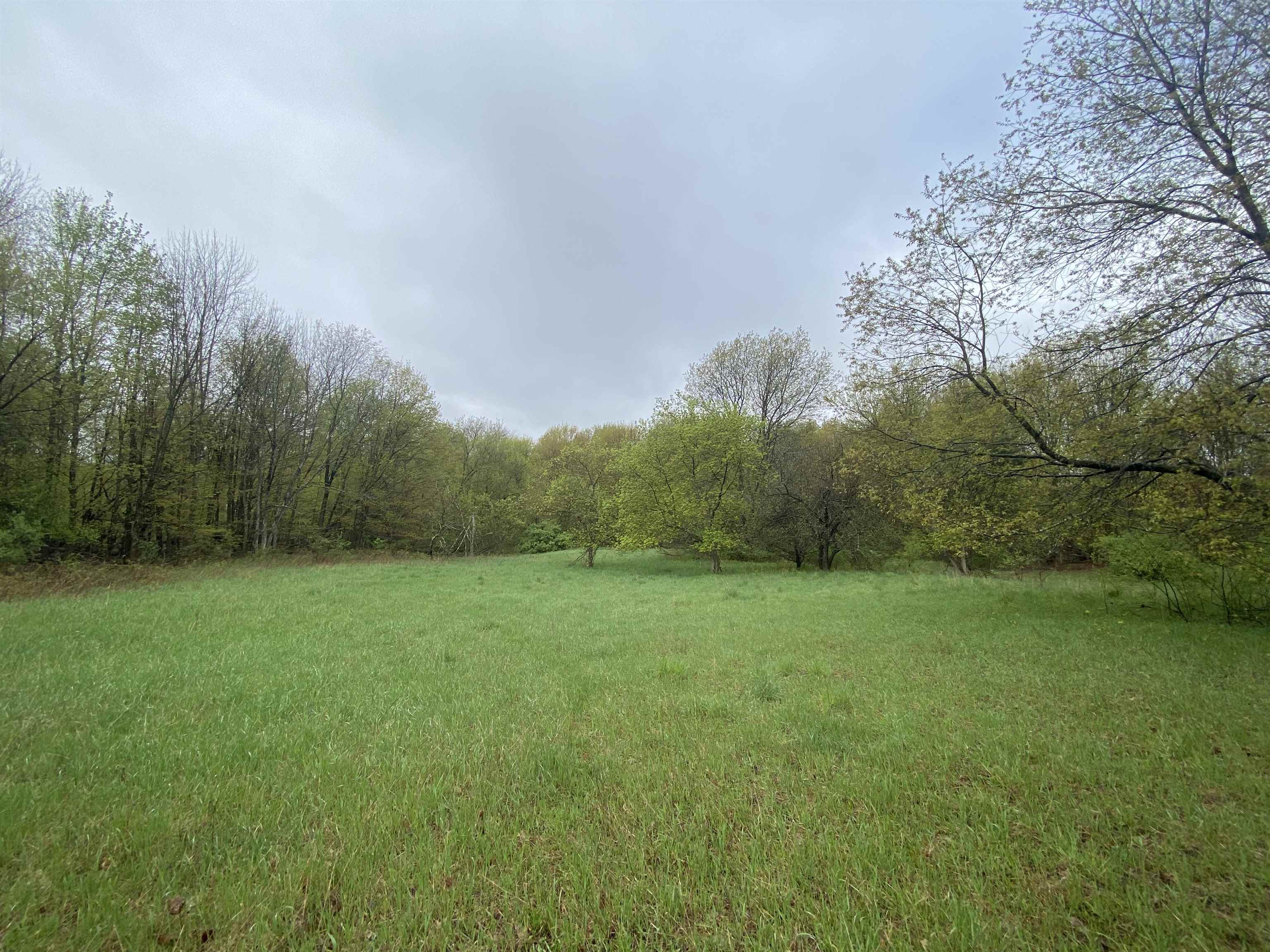 F North Marshall Road Beulah, MI 49617 - Photo 7 of 7