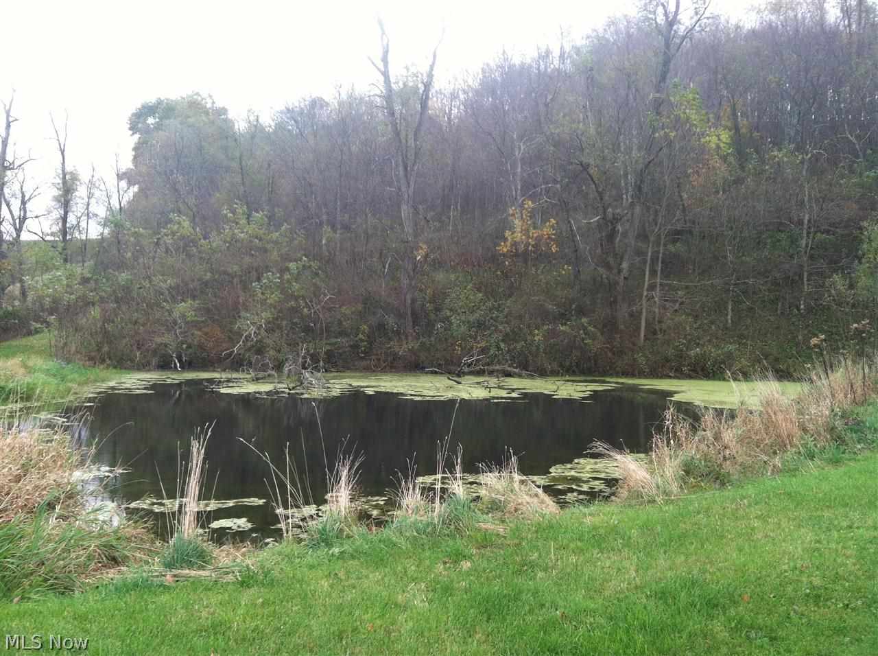 37176 Lewis Road Barnesville, OH 43713 - Photo 4 of 10 Gallery Image 4