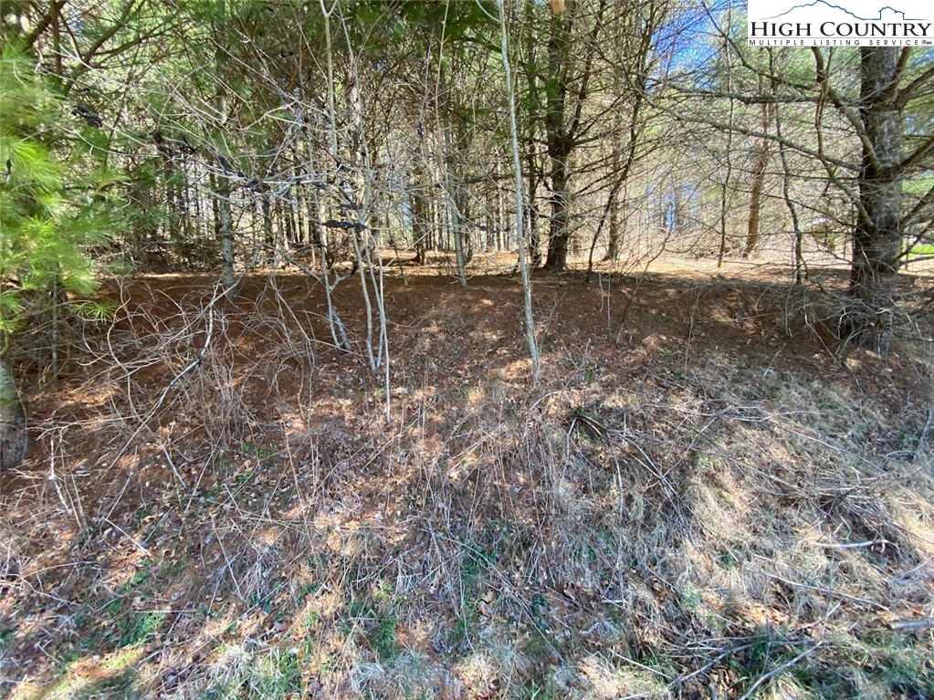 Pruitt Cove Road Laurel Springs, NC 28644 - Photo 3 of 3 Gallery Image 3