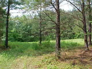 155 Jocassee Lake Road Salem, SC 29676 - Photo 1 of 6 Gallery Image 1