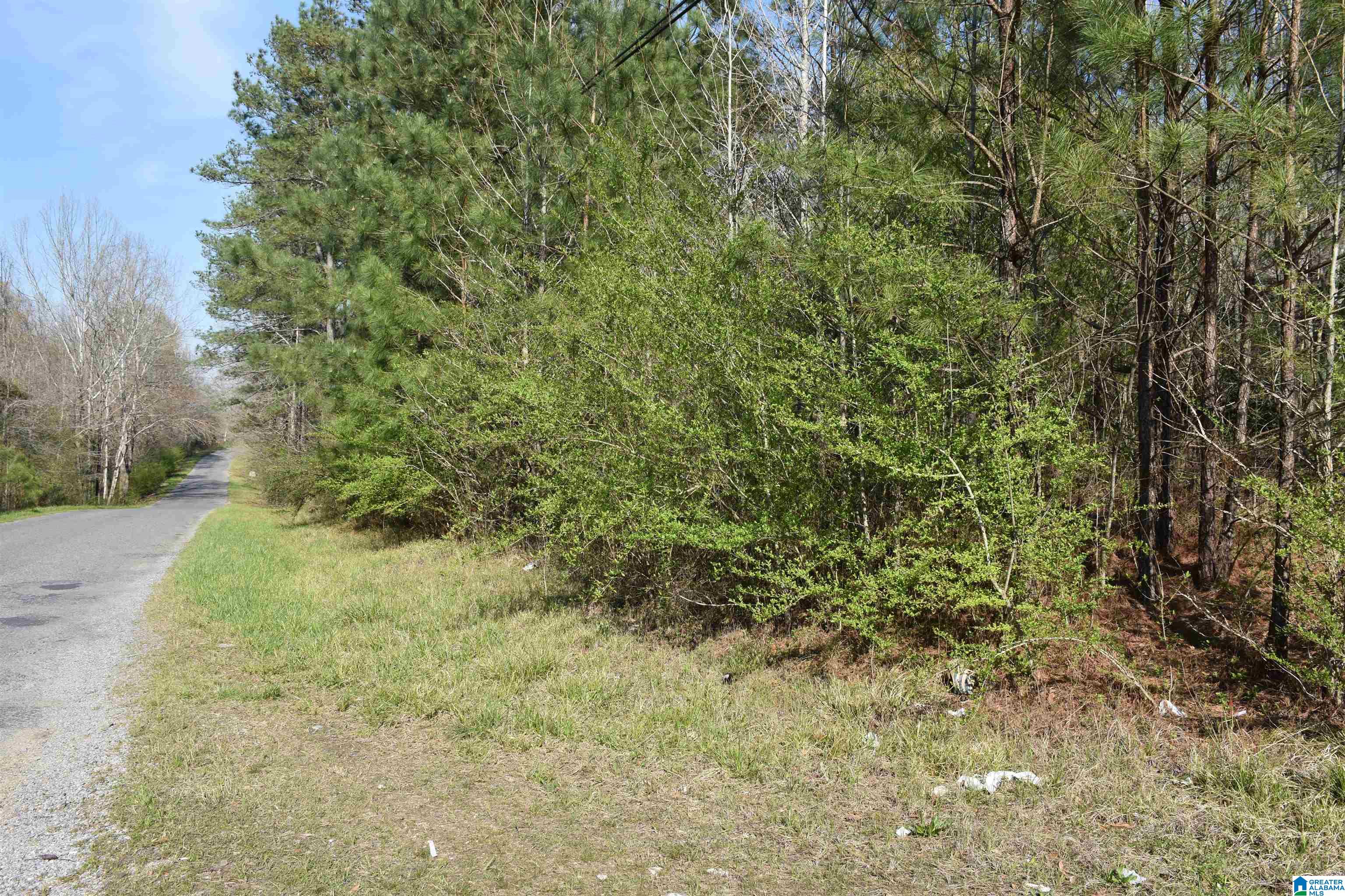 70 Coosa County Road Sylacauga, AL 35150 - Photo 9 of 19