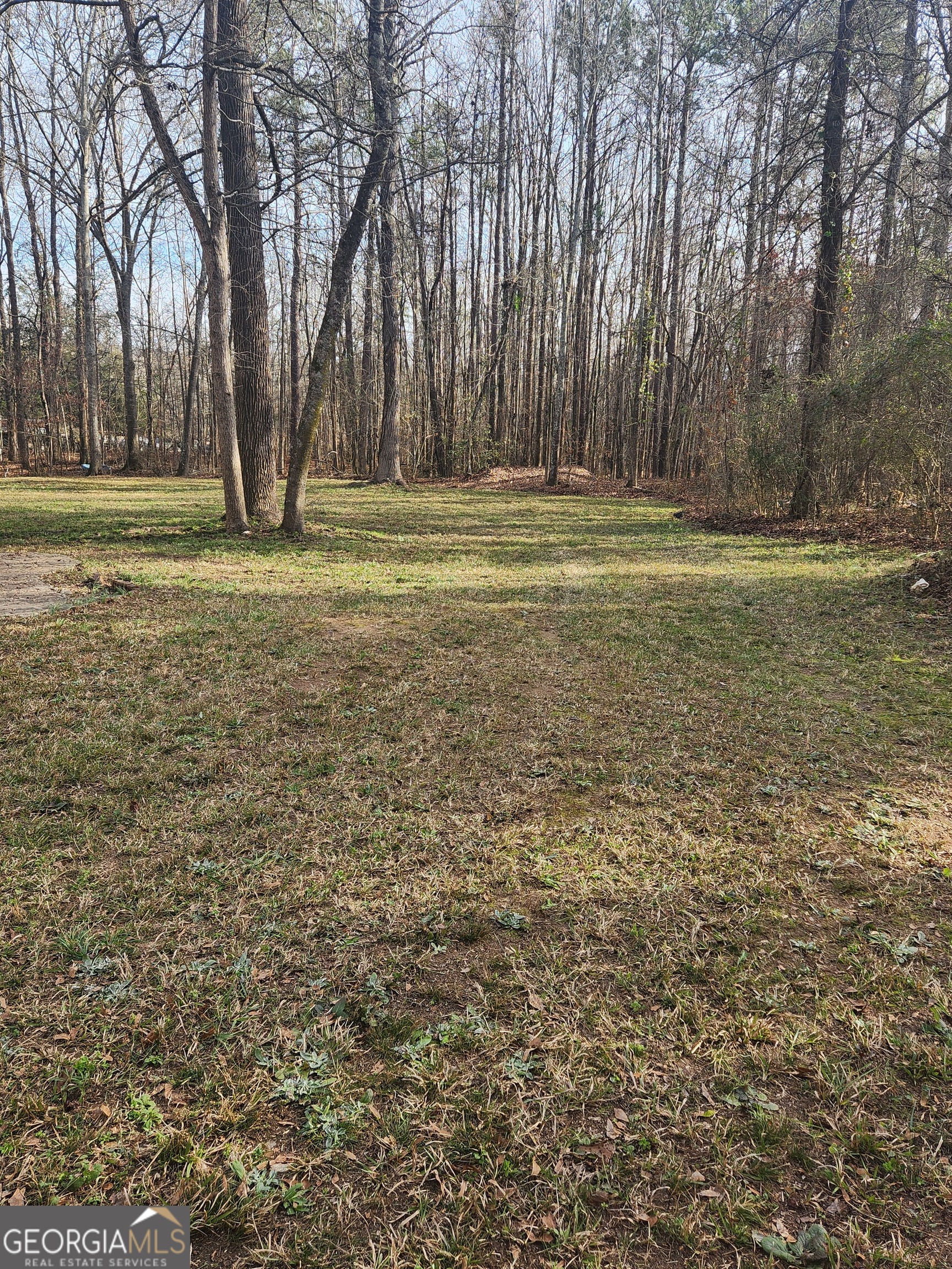 88 Dry Creek Road Danielsville, GA 30633 - Photo 15 of 20 a view of outdoor space with trees
