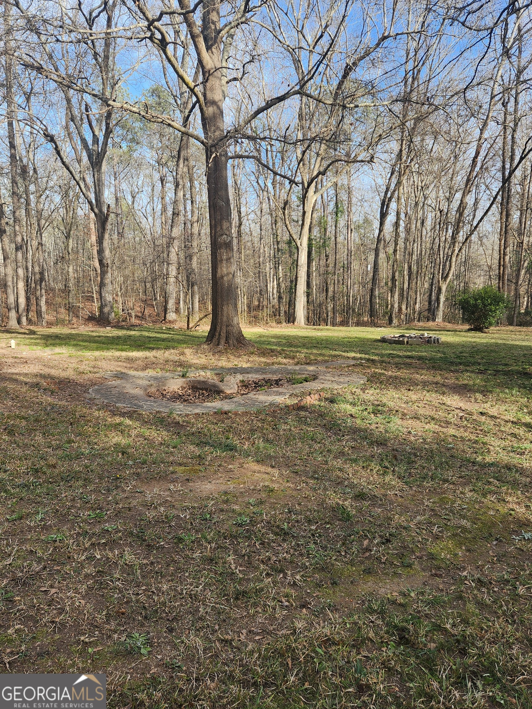 88 Dry Creek Road Danielsville, GA 30633 - Photo 16 of 20 a view of a yard with large trees