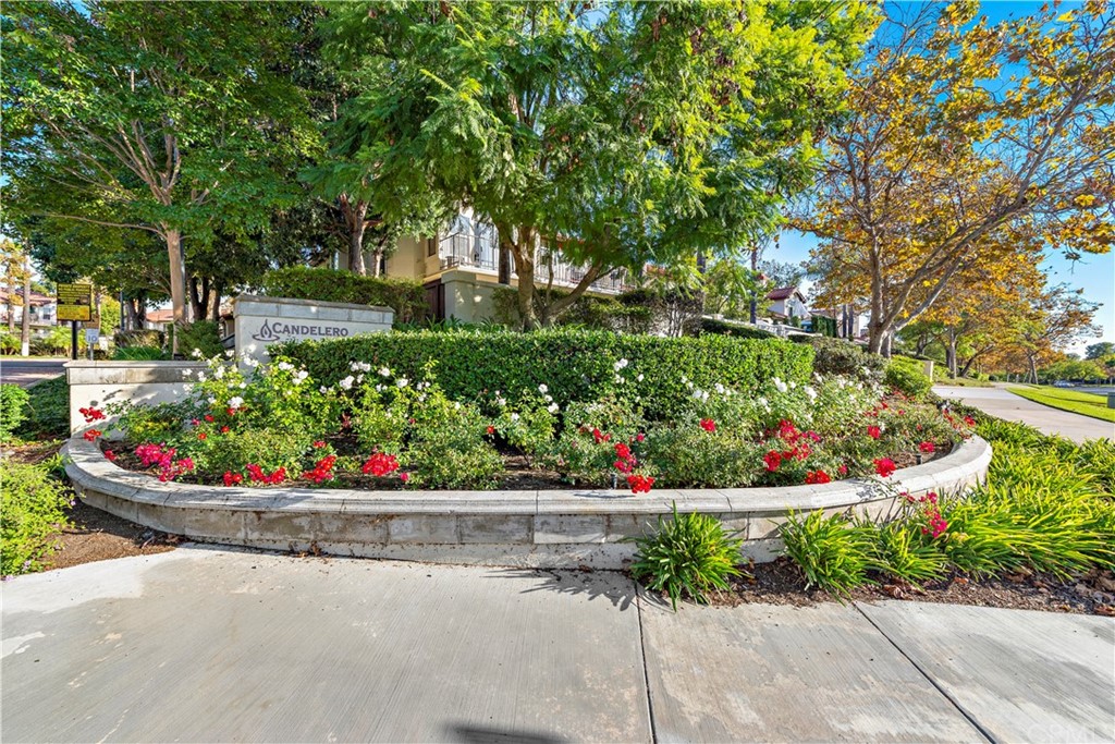 2 Vía Entrada Rancho Santa Margarita, CA 92688 - Photo 5 of 35 a garden with flowers and trees