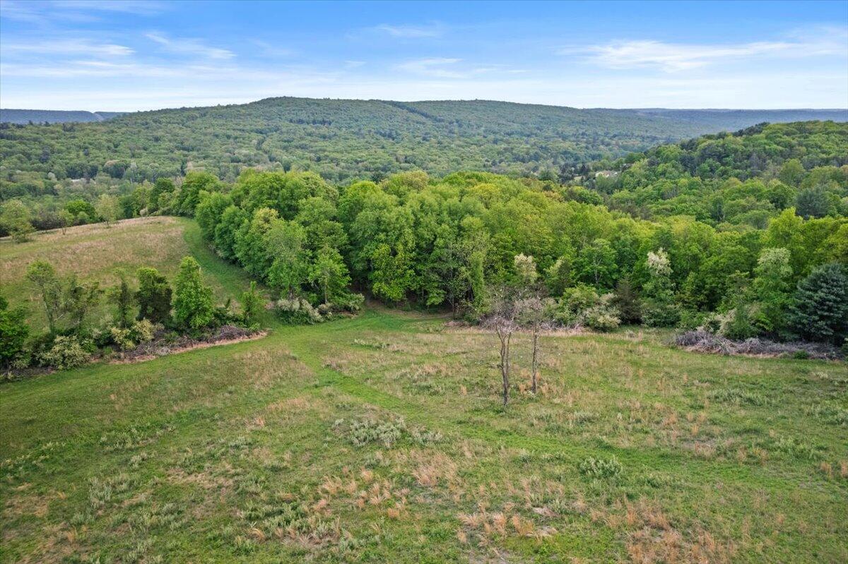 1937 Kunkletown Road Saylorsburg, PA 18353 - Photo 38 of 51 a view of a lush green outdoor space with lots of trees