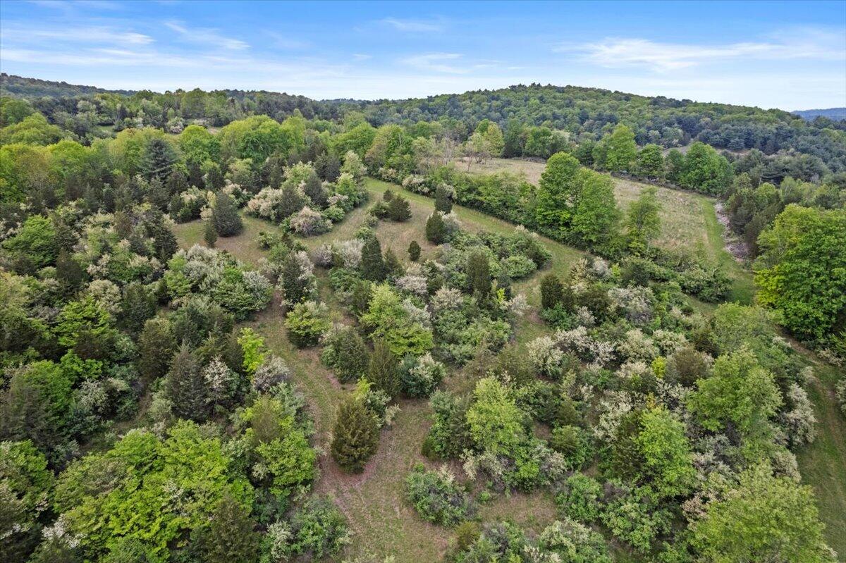 1937 Kunkletown Road Saylorsburg, PA 18353 - Photo 39 of 51 an aerial view of residential houses with outdoor and green space