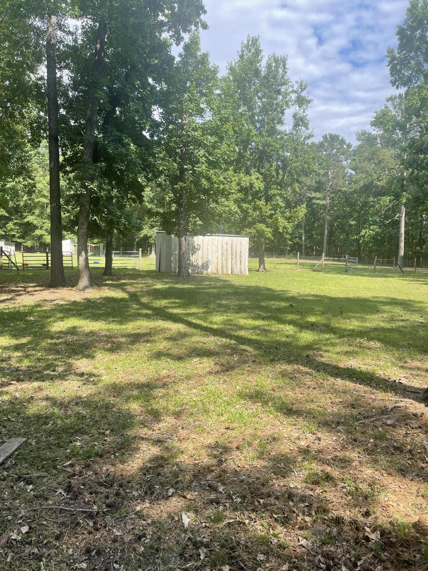 56 Geno Branch Road Camden, SC 29020 - Photo 13 of 21