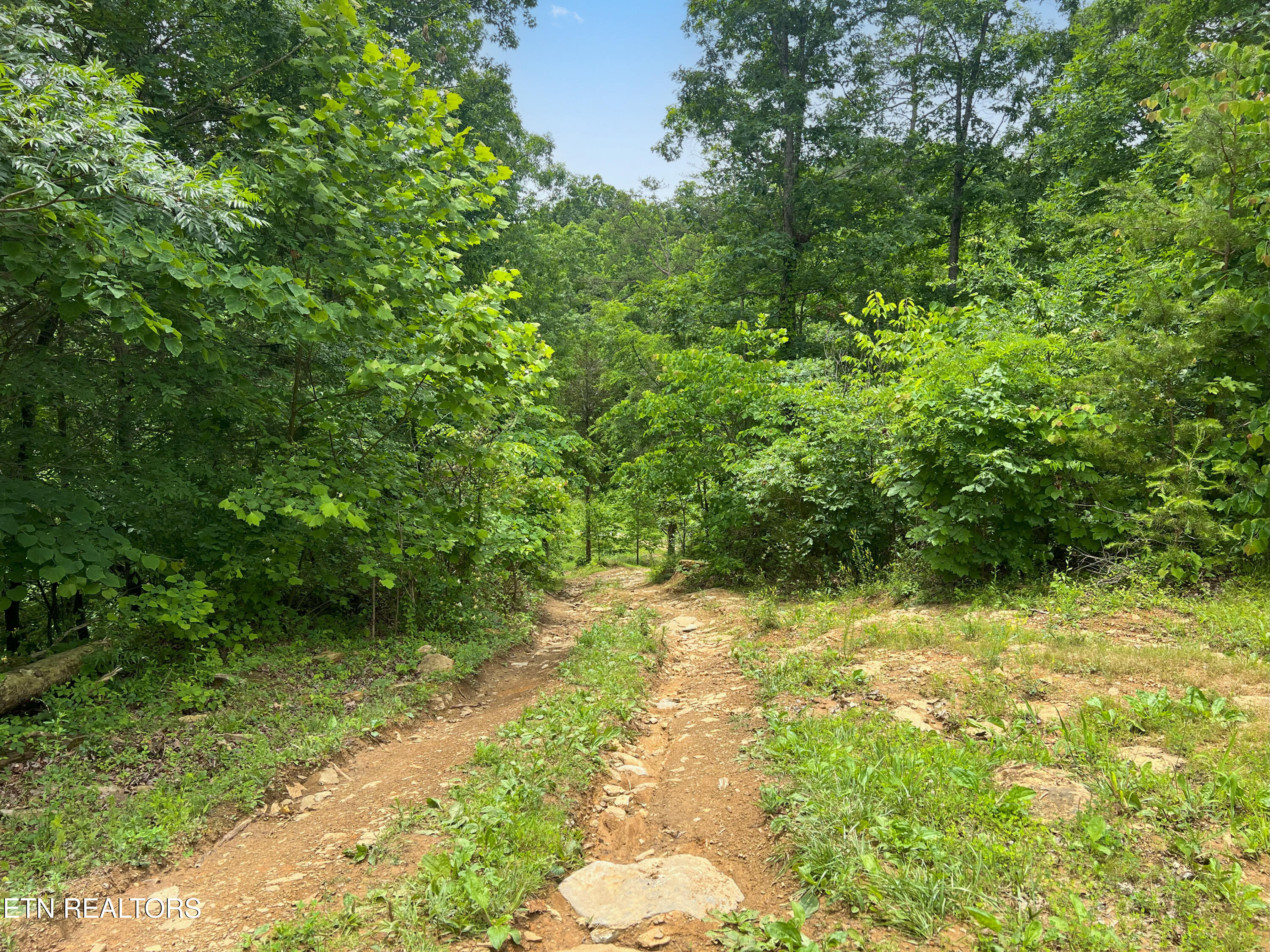 185 Green Road Bulls Gap, TN 37711 - Photo 2 of 16 IMG_1196