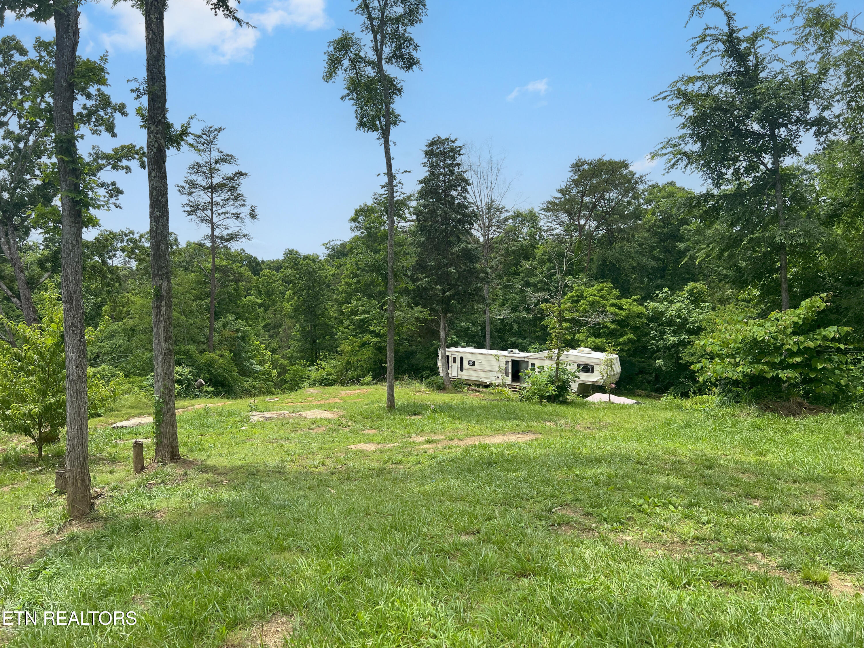 185 Green Road Bulls Gap, TN 37711 - Photo 4 of 16 IMG_1192