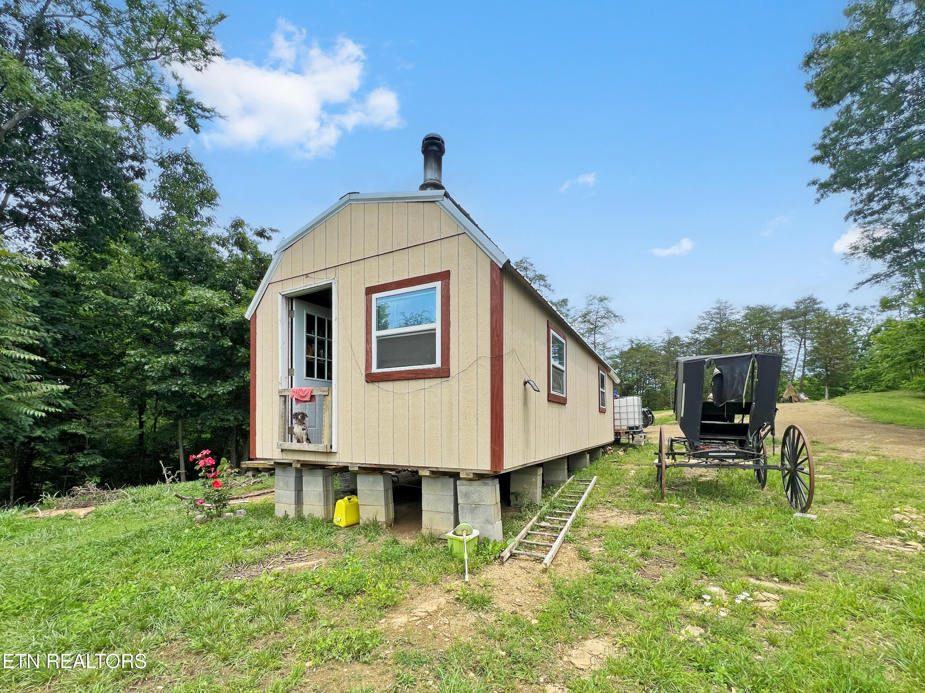 185 Green Road Bulls Gap, TN 37711 - Photo 7 of 16 IMG_1185