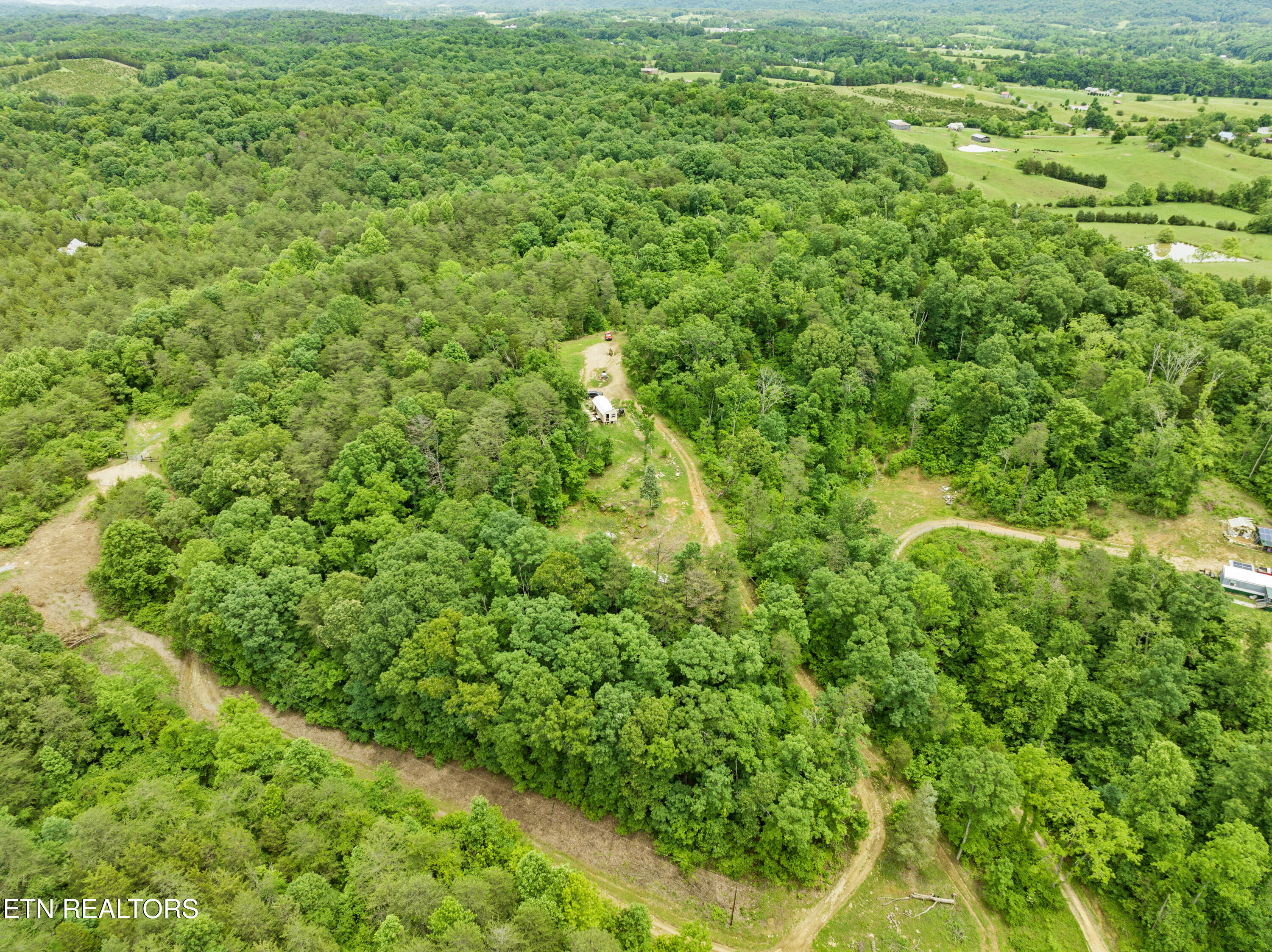 185 Green Road Bulls Gap, TN 37711 - Photo 9 of 16 DJI_0466