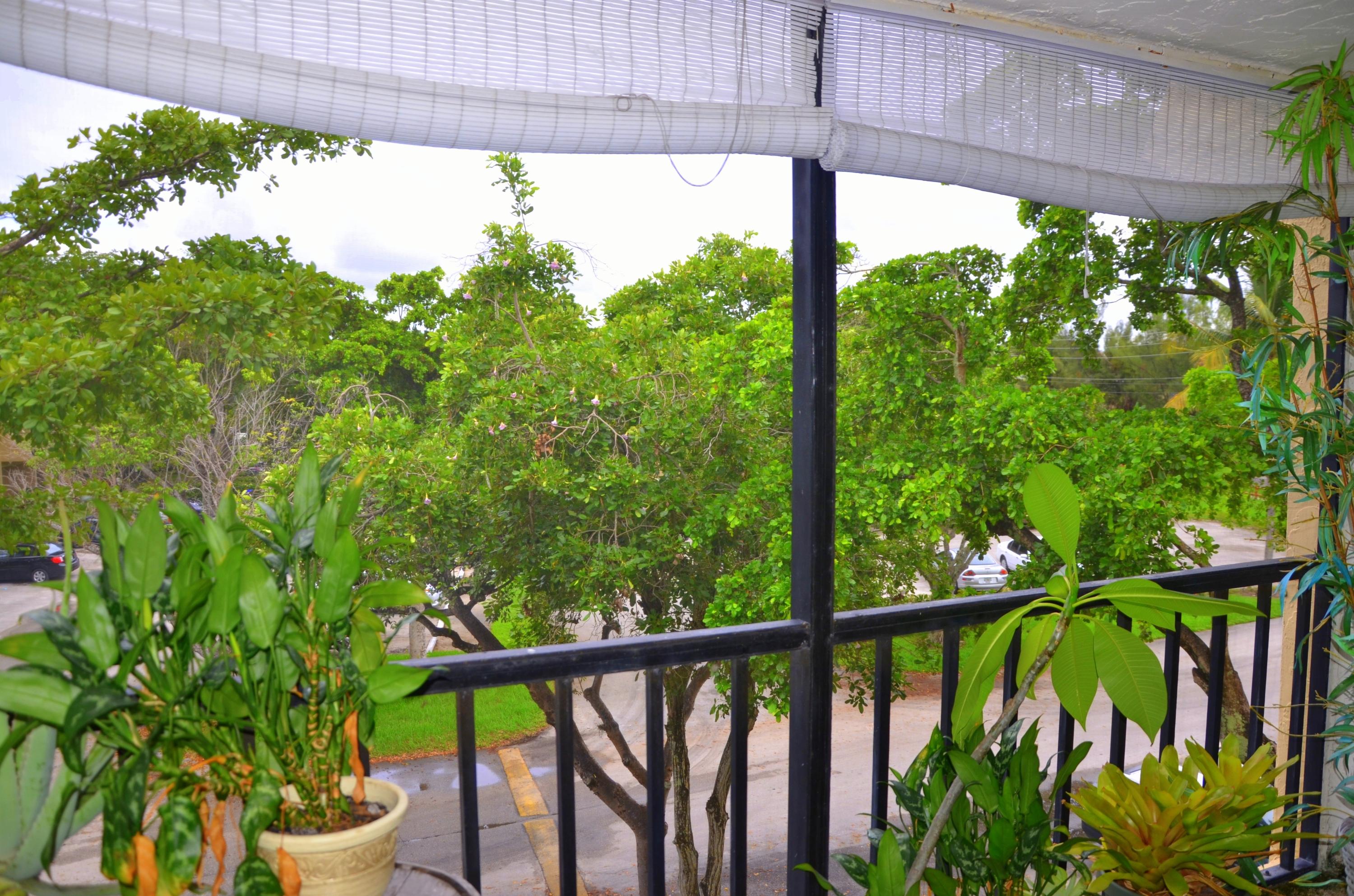 450 Northwest 20th Street, Unit 303 Boca Raton, FL 33431 - Photo 16 of 17 DSC_0923