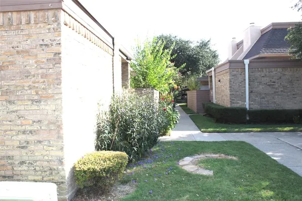 a view of a yard with plants and a large tree
