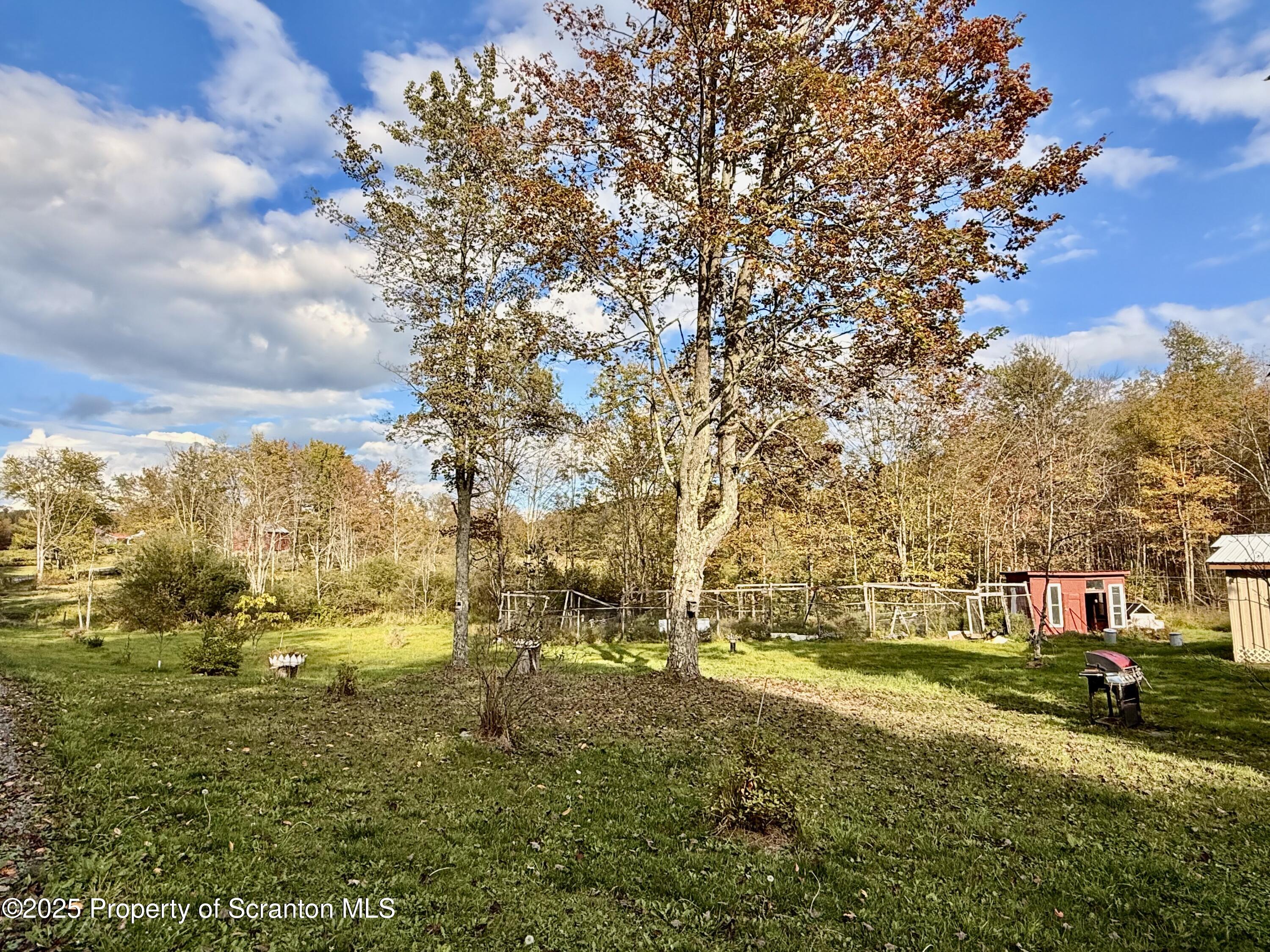 130 Fisk Mill Road Montrose, PA 18801 - Photo 8 of 31 a view of yard with tree