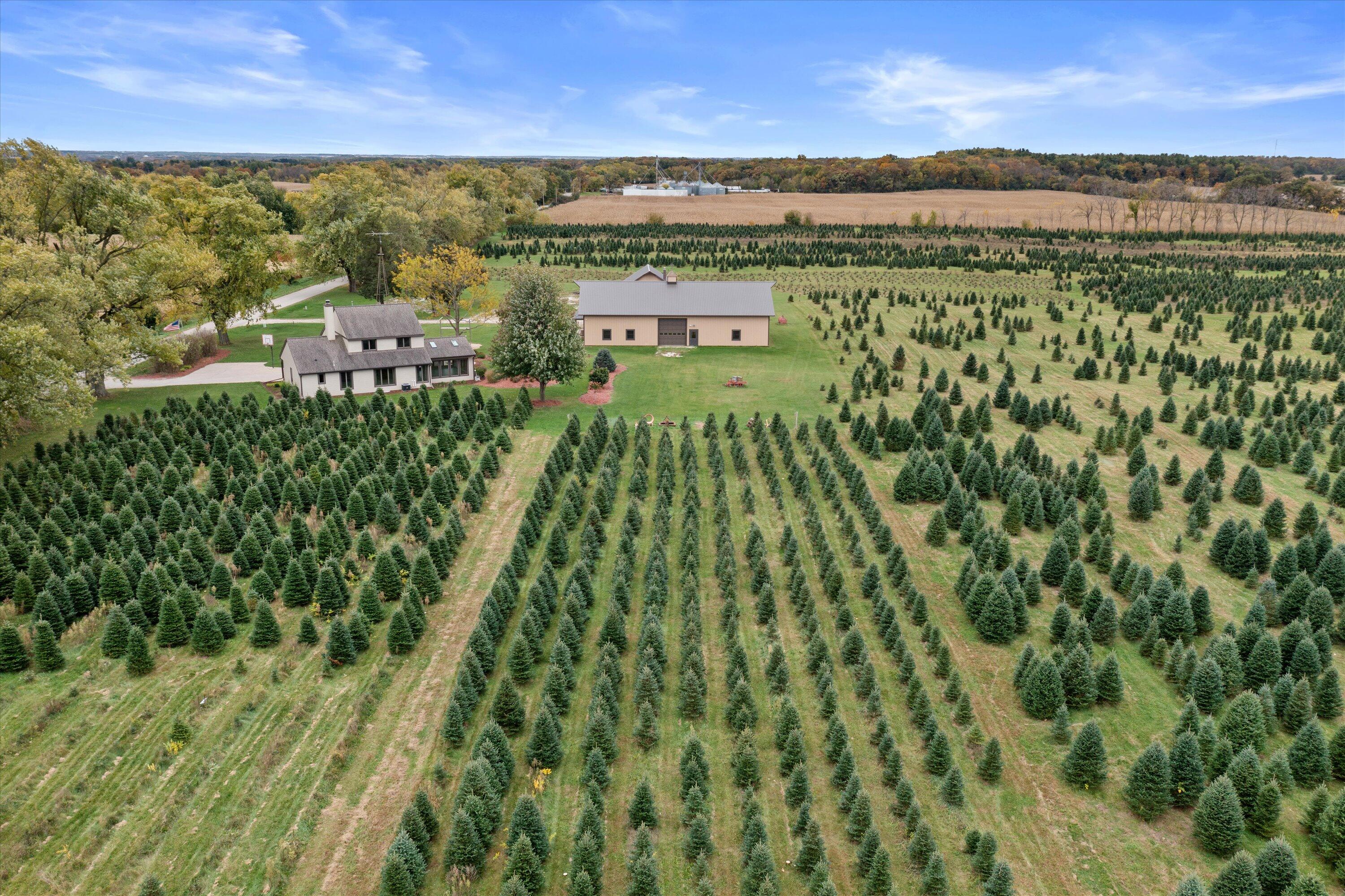 N9171 Nelson Road La Grange, WI 53120 - Photo 2 of 62 Farm View