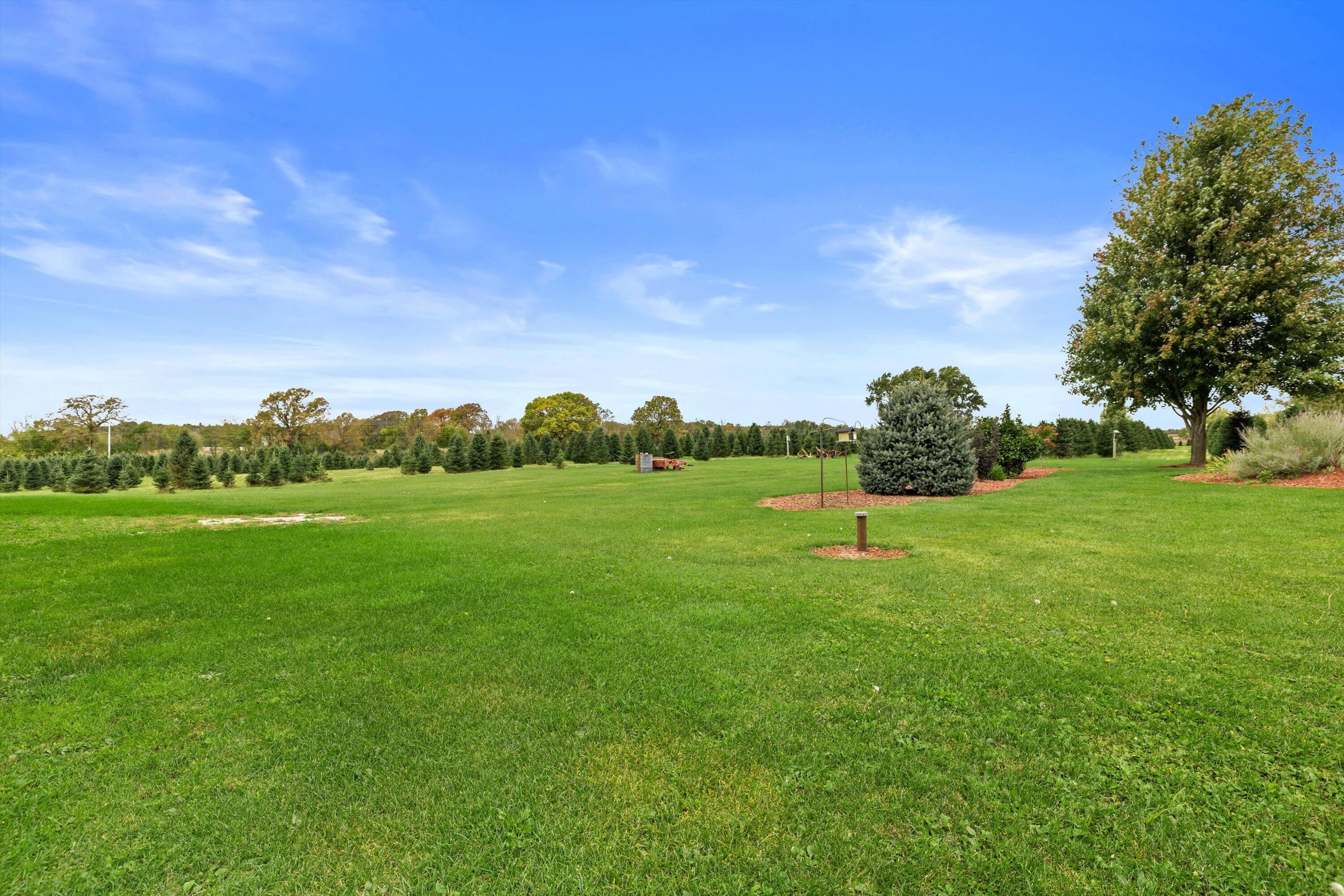 N9171 Nelson Road La Grange, WI 53120 - Photo 36 of 62 Backyard