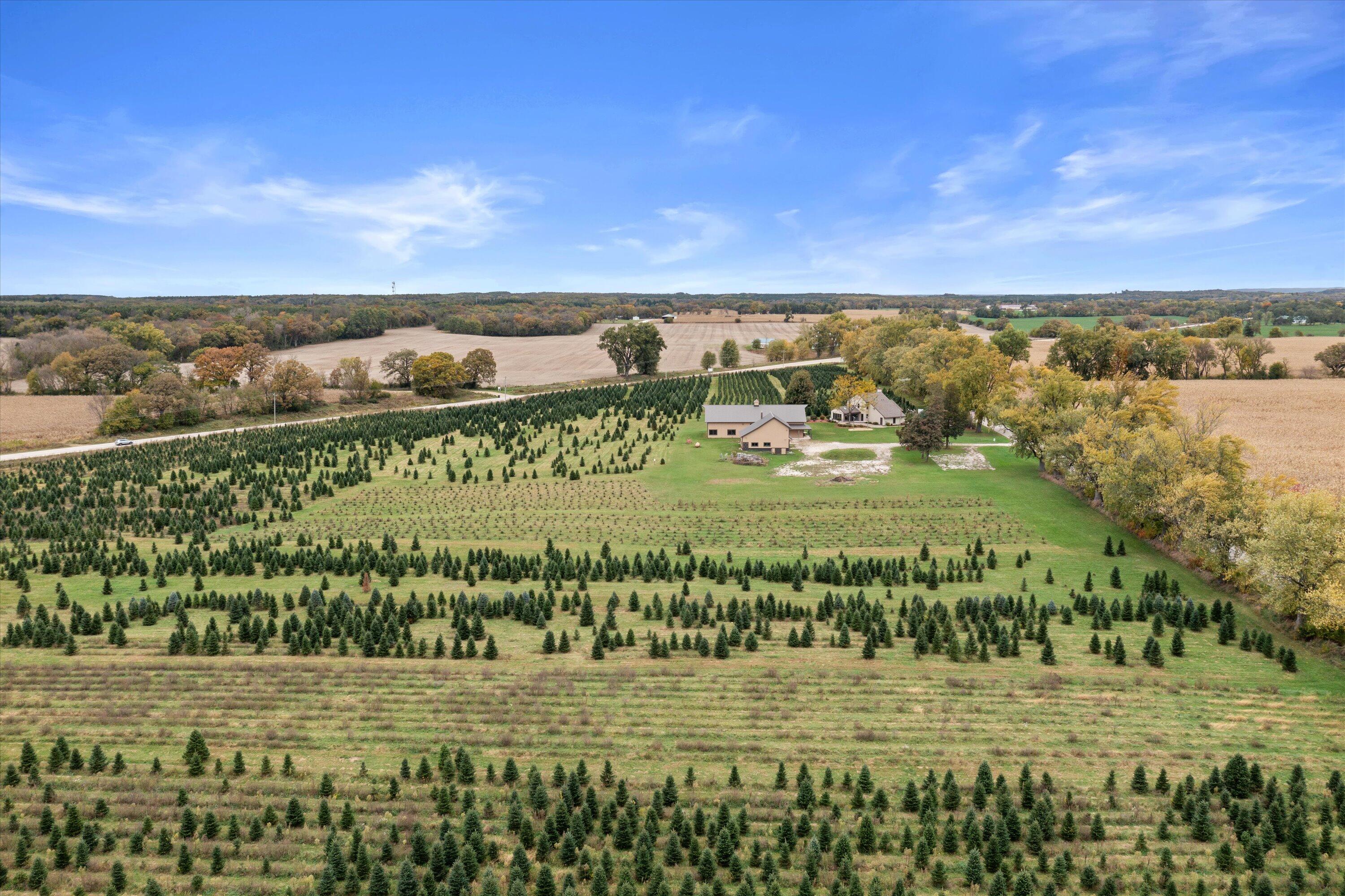 N9171 Nelson Road La Grange, WI 53120 - Photo 3 of 62 Christmas Tree Farm
