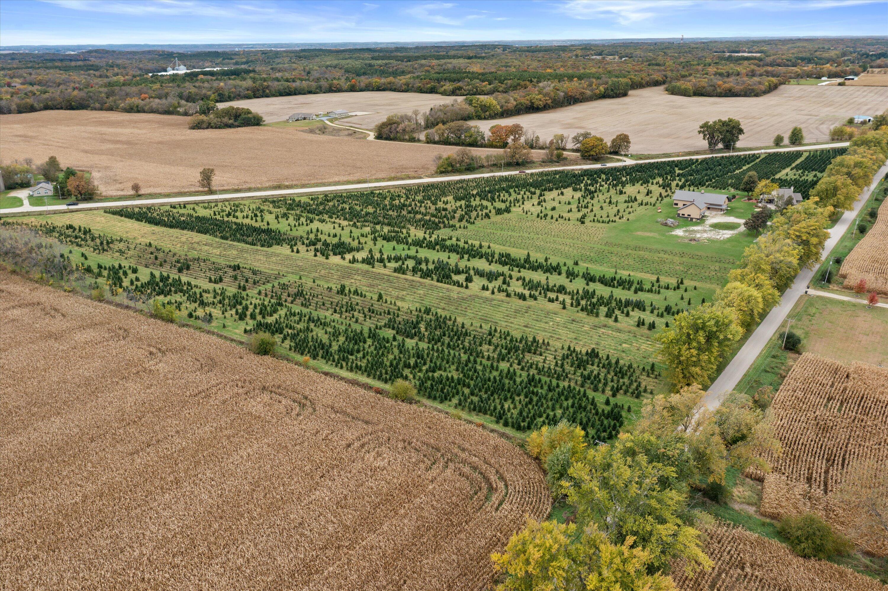 N9171 Nelson Road La Grange, WI 53120 - Photo 59 of 62 Farm