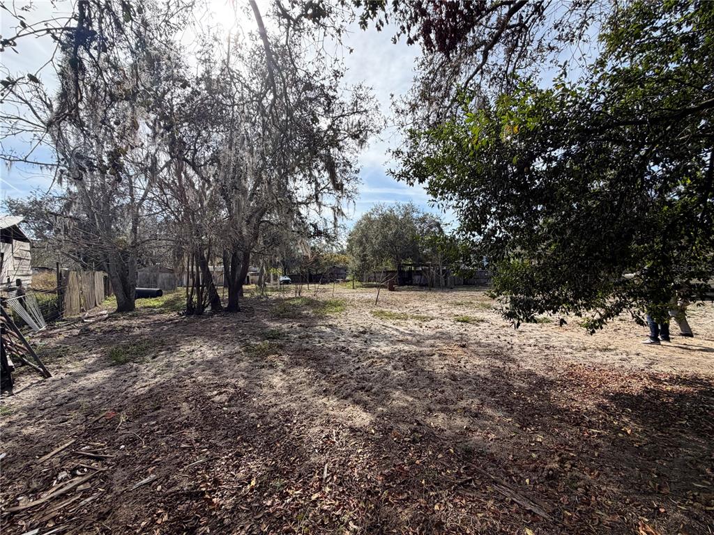 10711 Jacamar Drive New Port Richey, FL 34654 - Photo 14 of 19 a view of outdoor space with trees