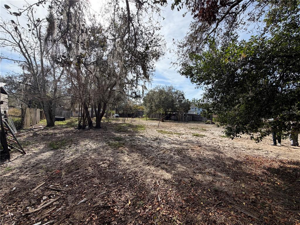10711 Jacamar Drive New Port Richey, FL 34654 - Photo 3 of 19 a view of outdoor space with trees