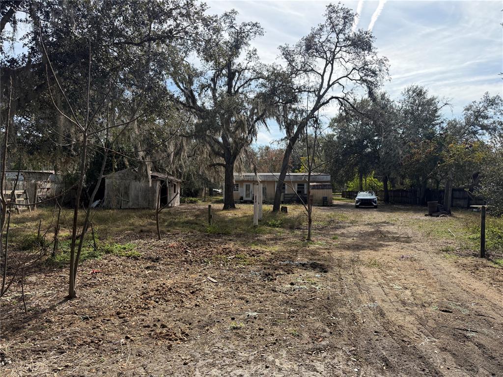 10711 Jacamar Drive New Port Richey, FL 34654 - Photo 5 of 19 a backyard of a house with lots of green space