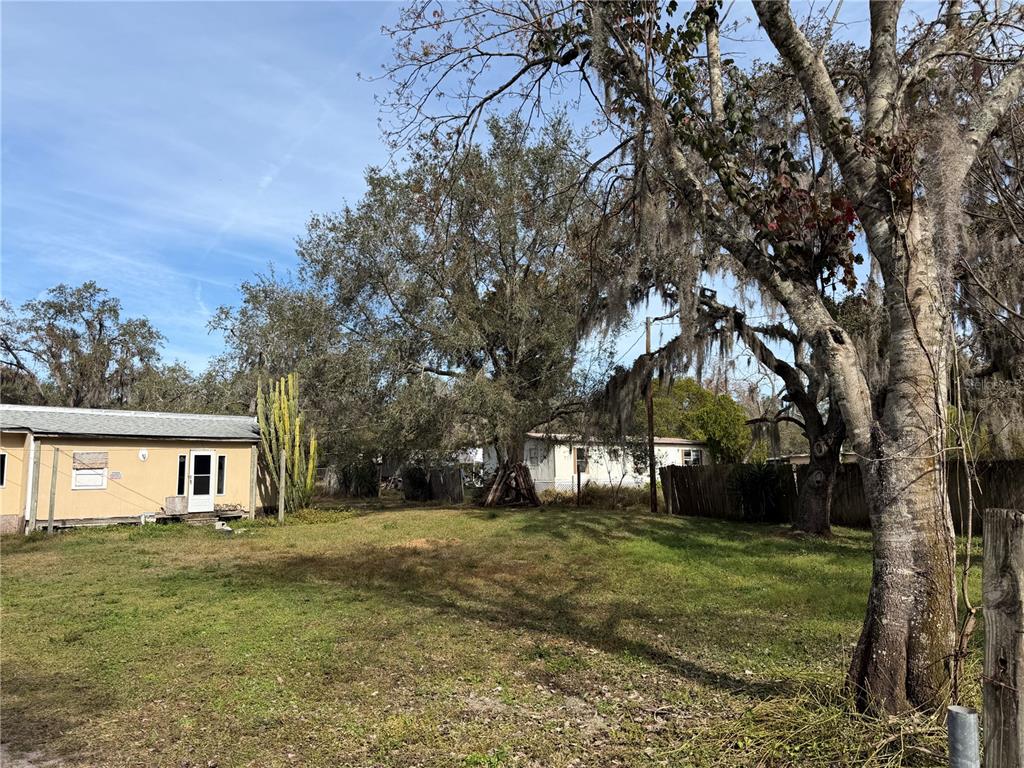 10711 Jacamar Drive New Port Richey, FL 34654 - Photo 6 of 19 a view of house with backyard