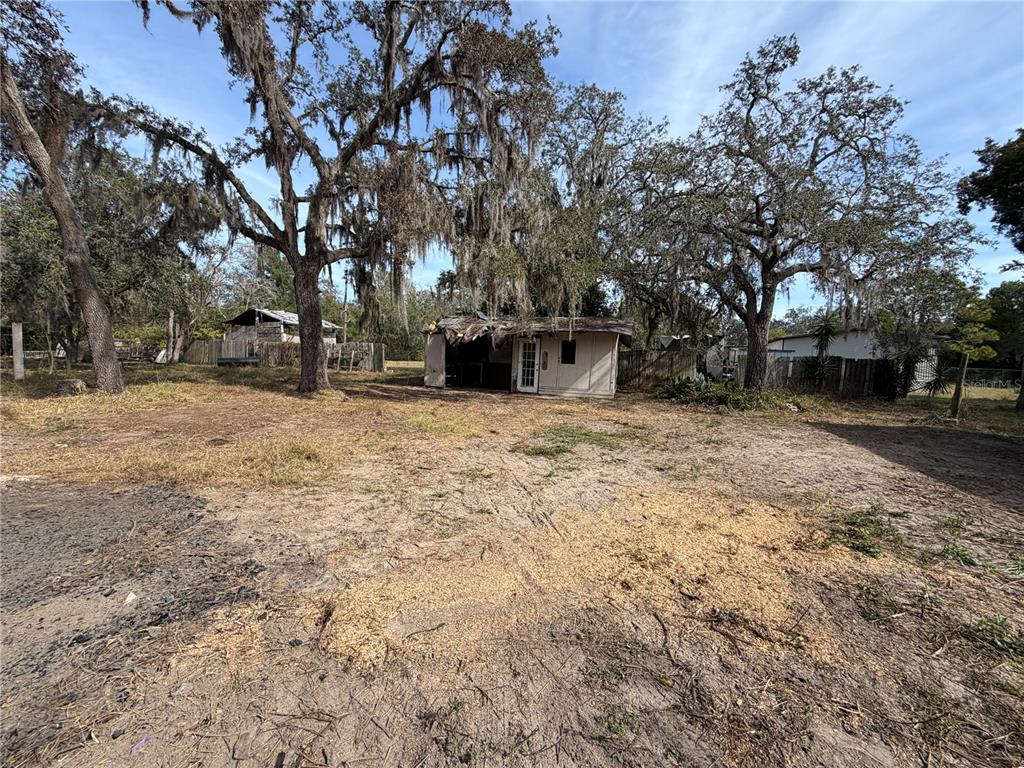 10711 Jacamar Drive New Port Richey, FL 34654 - Photo 9 of 19 a view of a yard with a tree